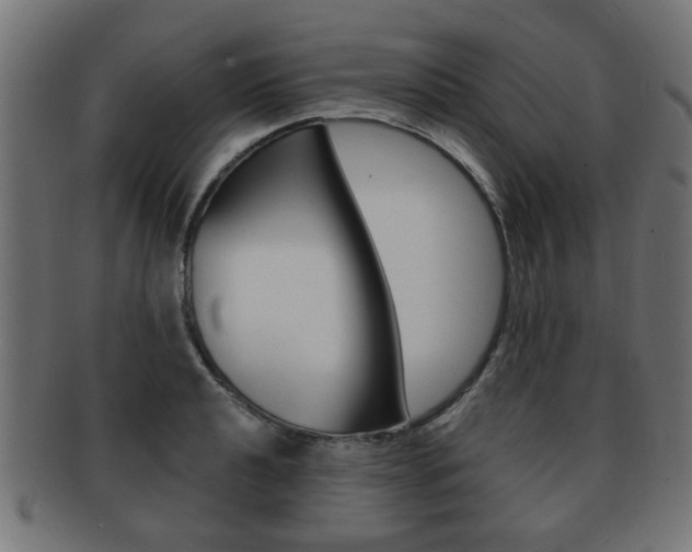 X0000091971040200709061127