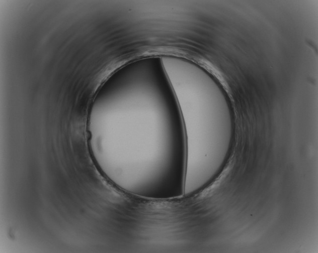X0000091971041200709061128