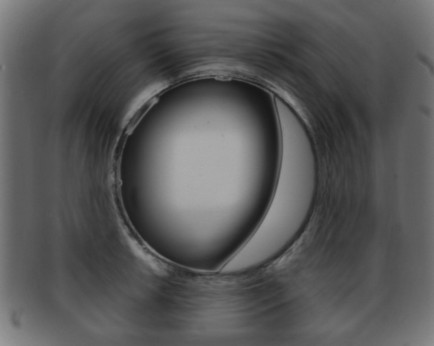 X0000091971042200709061128