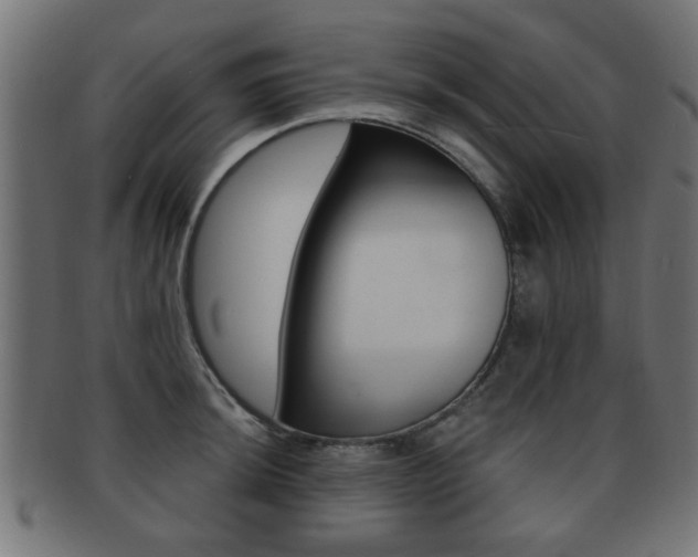 X0000091971044200709061128