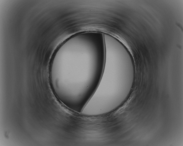 X0000091971045200709061128