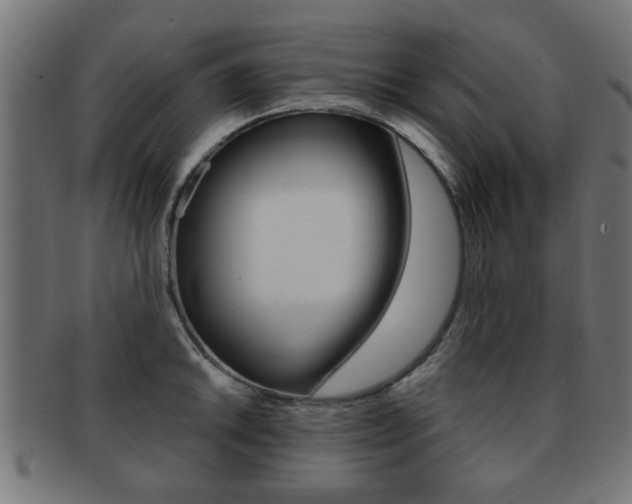 X0000091971046200709061128