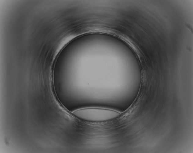X0000091971048200709061128