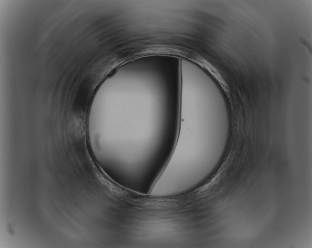 X0000091971049200709061128