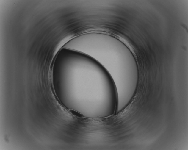 X0000091971050200709061128