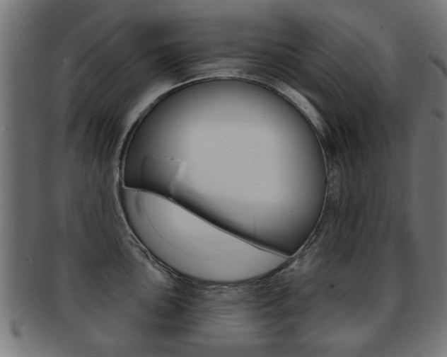 X0000091971051200709061128