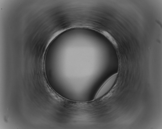 X0000091971052200709061128