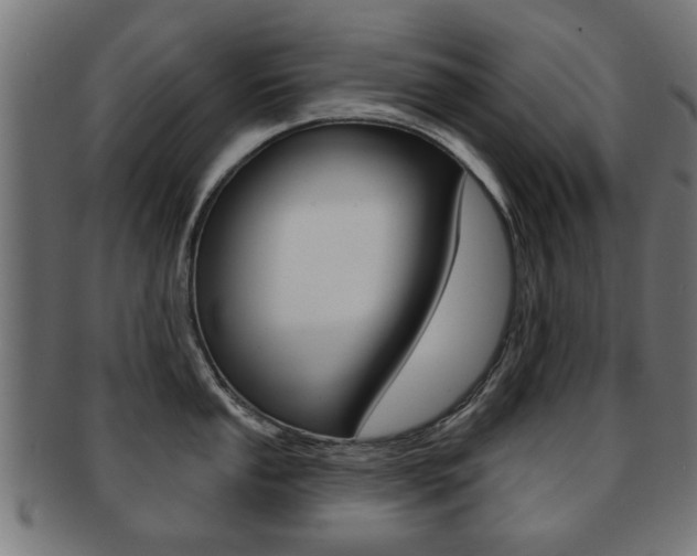X0000091971053200709061128