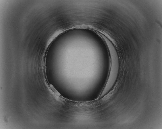 X0000091971054200709061128