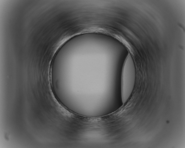 X0000091971055200709061128