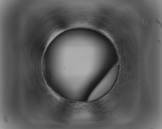 X0000091971056200709061128