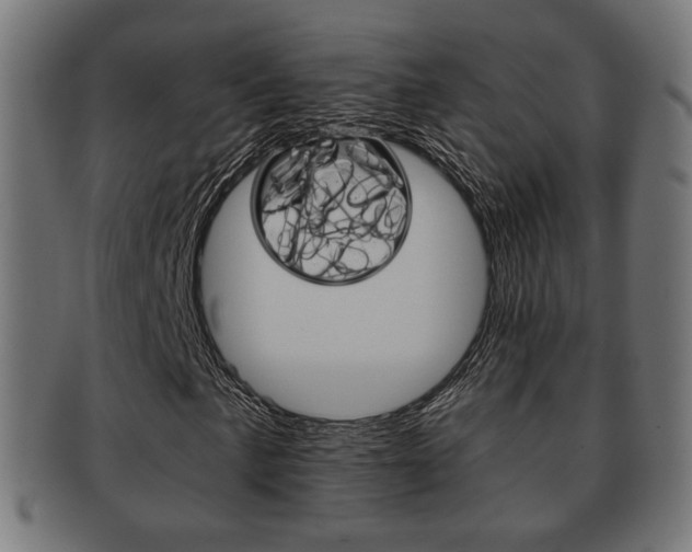 X0000091971057200709061127
