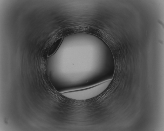 X0000091971058200709061127