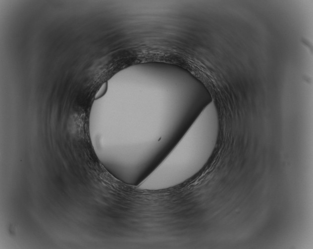 X0000091971059200709061127