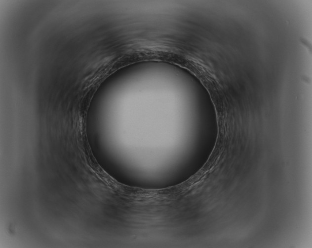 X0000091971061200709061127