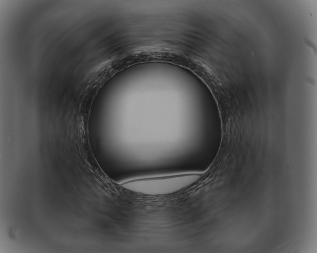 X0000091971062200709061127