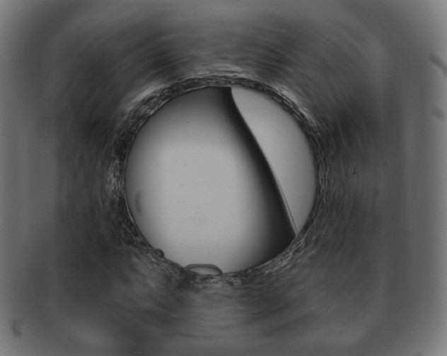 X0000091971063200709061127