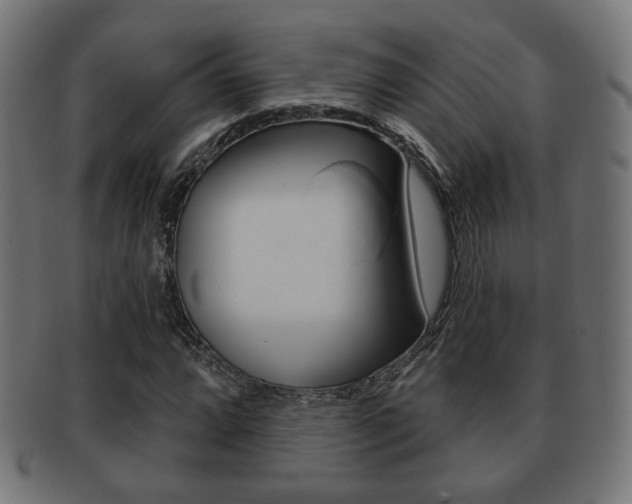 X0000091971064200709061127