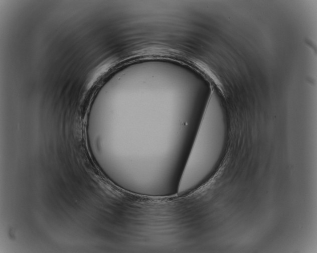 X0000091971067200709061127