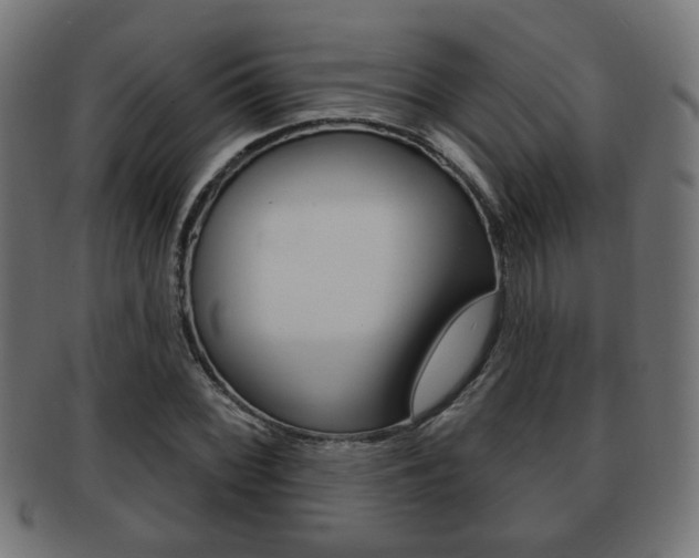 X0000091971068200709061127