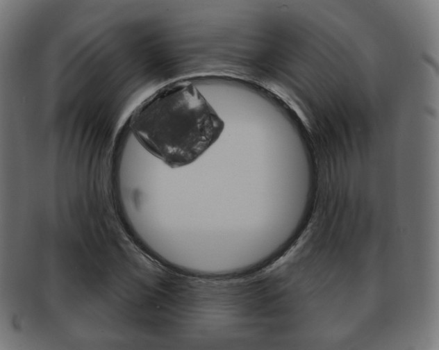 X0000091971069200709061127