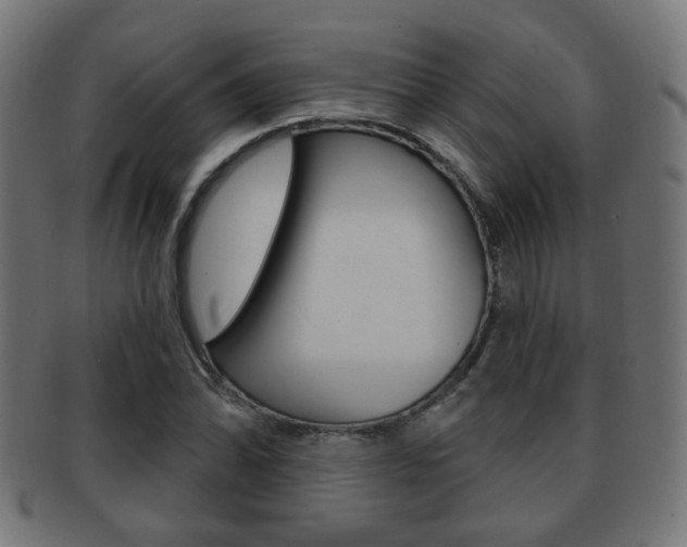 X0000091971070200709061127