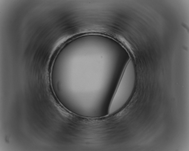 X0000091971072200709061127