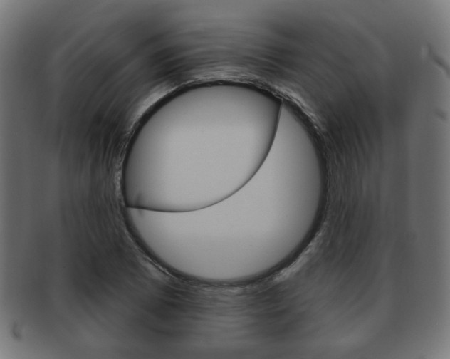 X0000091971073200709061127