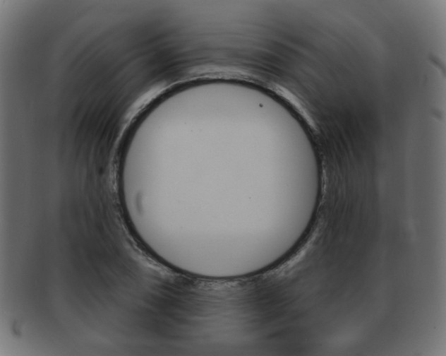X0000091971074200709061127