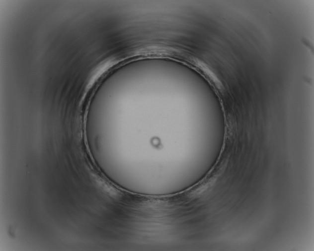 X0000091971075200709061127