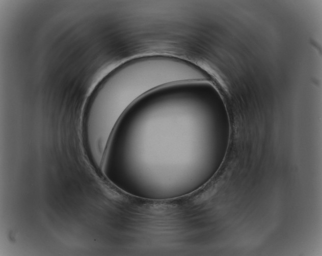X0000091971077200709061127