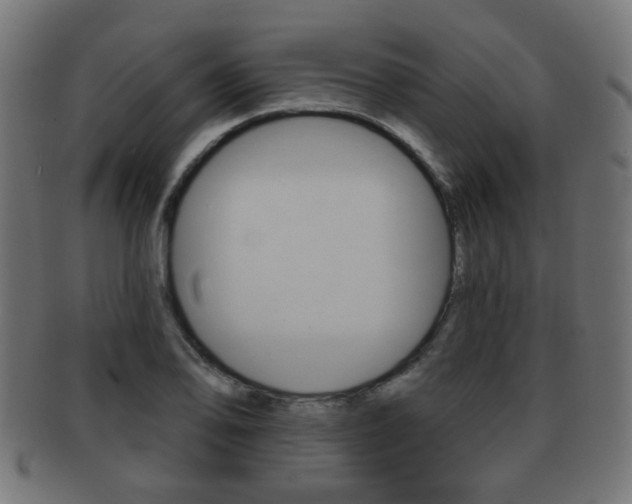 X0000091971078200709061127