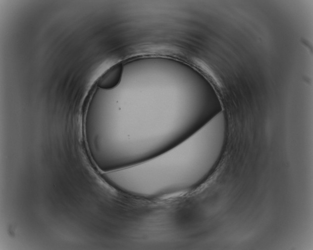 X0000091971079200709061127