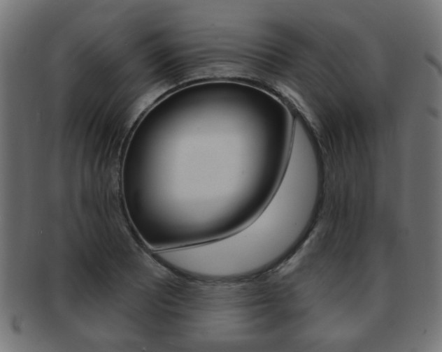 X0000091971081200709061127