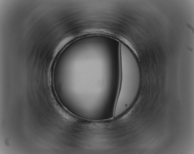 X0000091971082200709061127