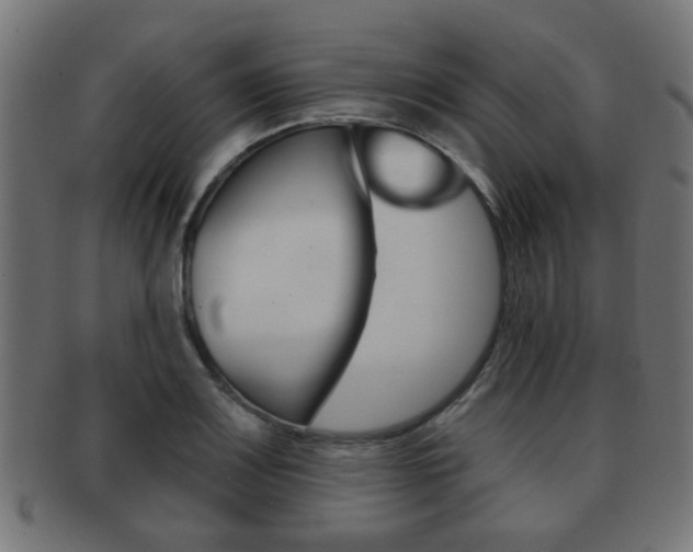 X0000091971083200709061127