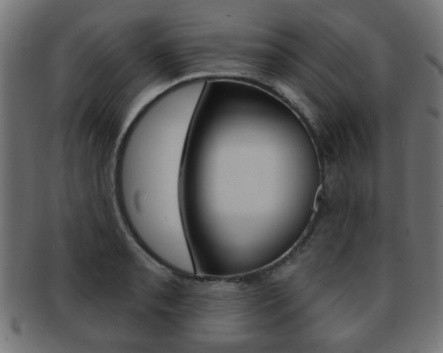 X0000091971085200709061127
