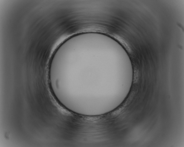 X0000091971086200709061127