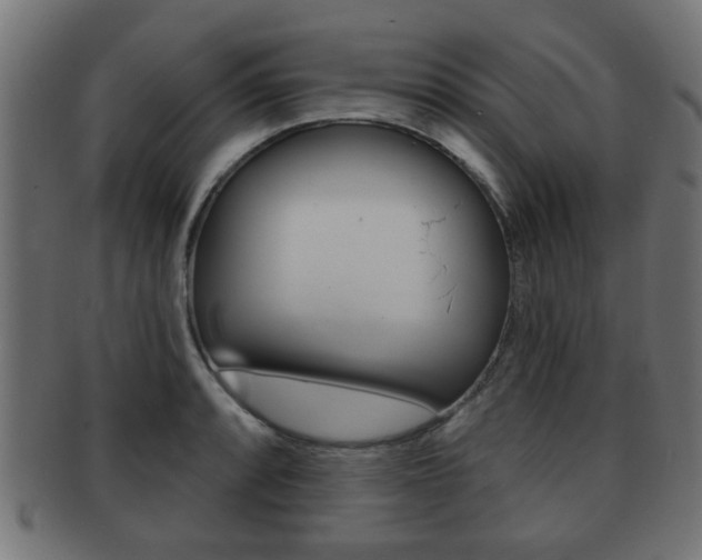 X0000091971088200709061127