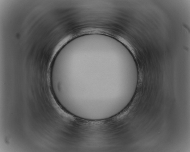 X0000091971090200709061127