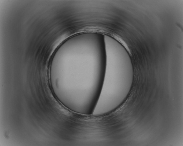 X0000091971091200709061127