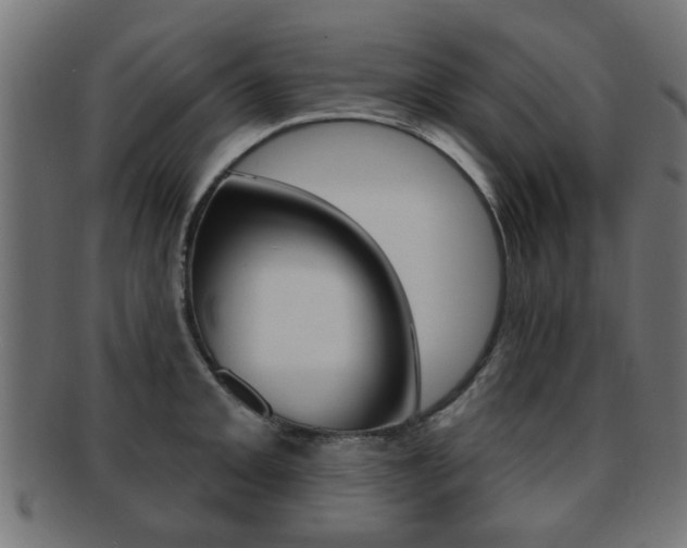 X0000091971093200709061127