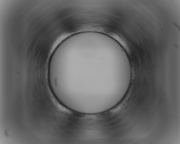 X0000091971094200709061127