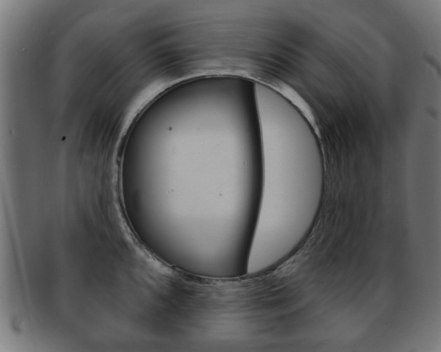 X0000091971096200709061127