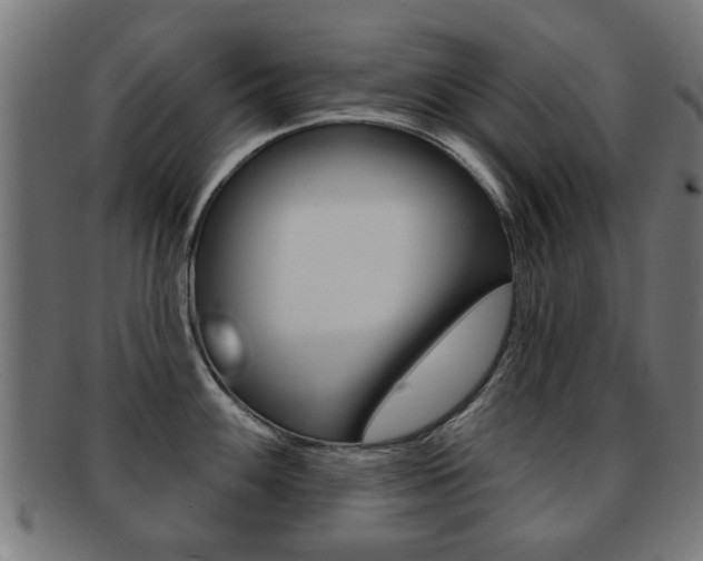 X0000091971100200709061127