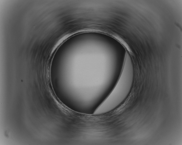 X0000091971101200709061127