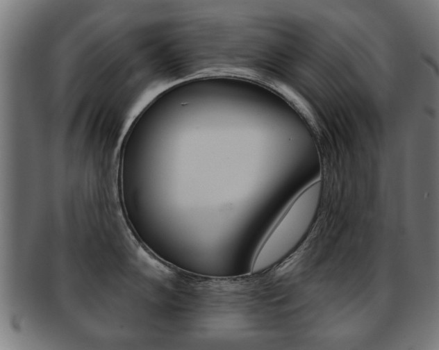 X0000091971102200709061127
