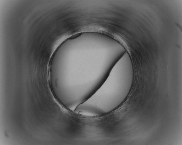 X0000091971103200709061127