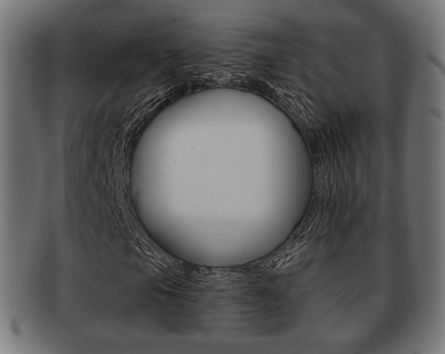 X0000091971105200709061126
