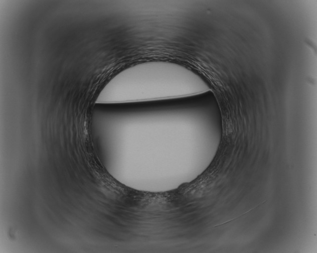 X0000091971106200709061126